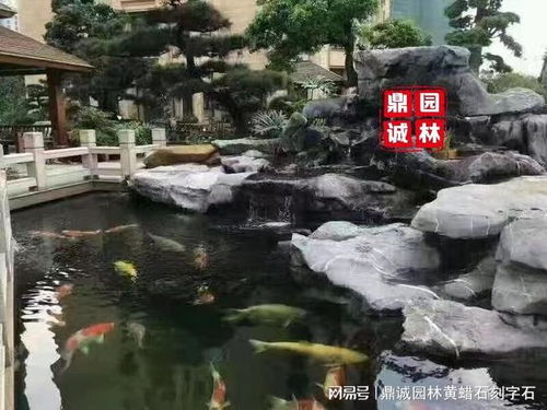 一款可以讓你靜靜觀看,暫時卸下心情觀賞的石頭 太湖石