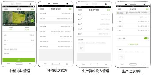 大田智慧農(nóng)業(yè) 1.28億元數(shù)字化服務(wù)引領(lǐng)農(nóng)產(chǎn)品安全生產(chǎn)新紀(jì)元